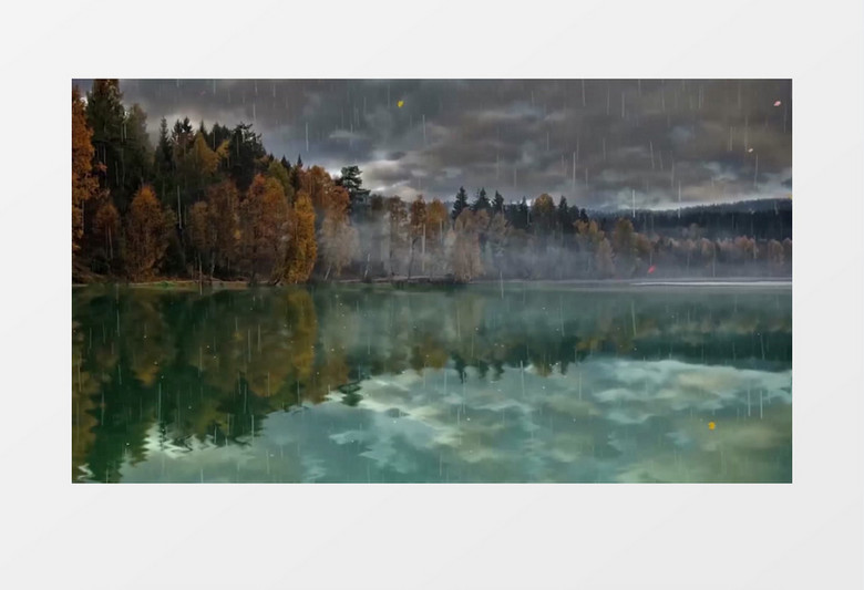 雨水和落叶缓缓飘落到湖水中背景视频素材