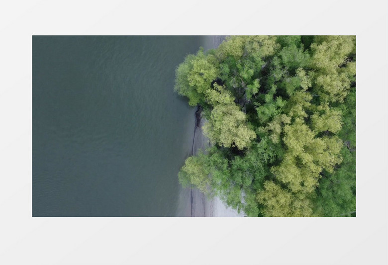 航拍平静的水面和水边的植被实拍视频素材