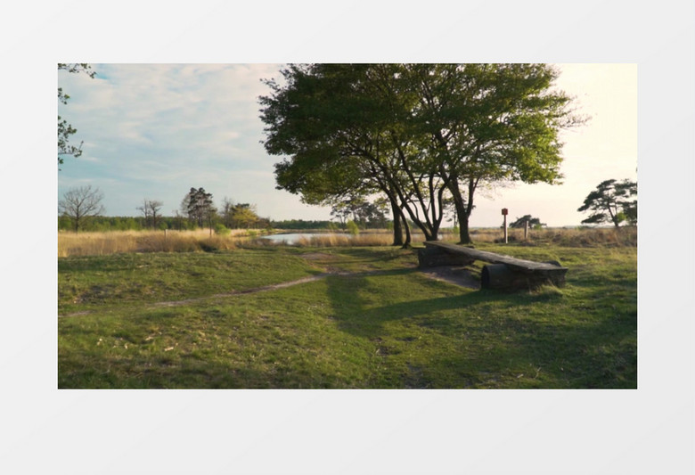 实拍郊外的草地和湖边的树实拍视频素材