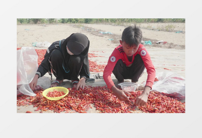 两个小朋友在挑选晾晒的红辣椒实拍视频素材