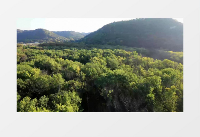 航拍大地上茂盛的山林实拍视频素材