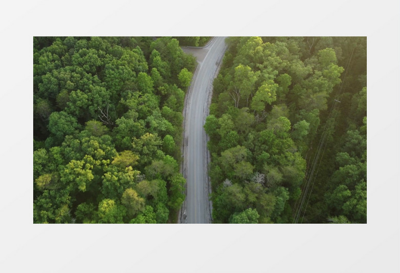 航拍茂盛的丛林中间的道路实拍视频素材