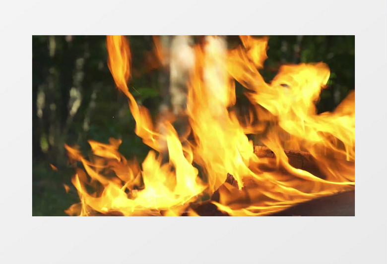 木材燃烧形成的火苗实拍视频素材