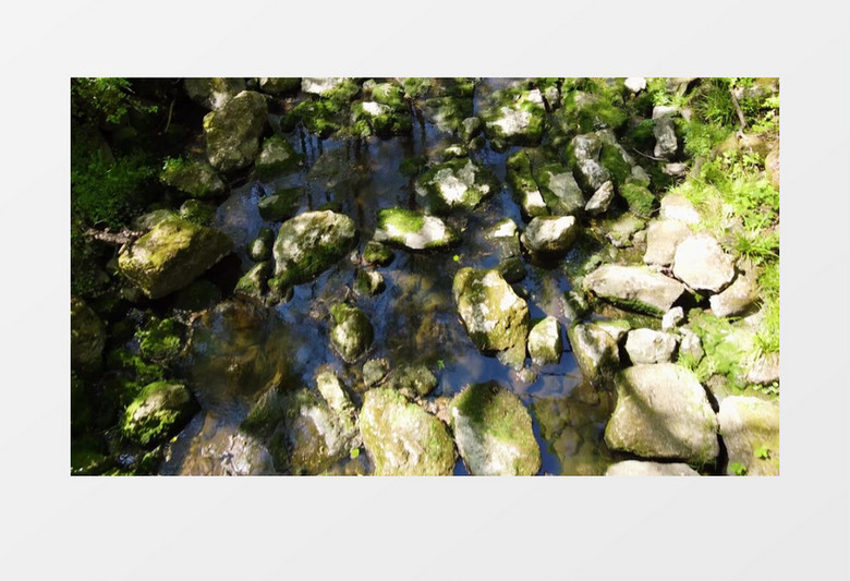 实拍小河里长满青苔的石块实拍视频素材