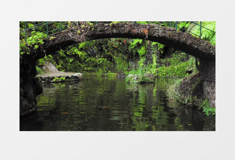 残破的小桥下幽静的河水实拍视频素材