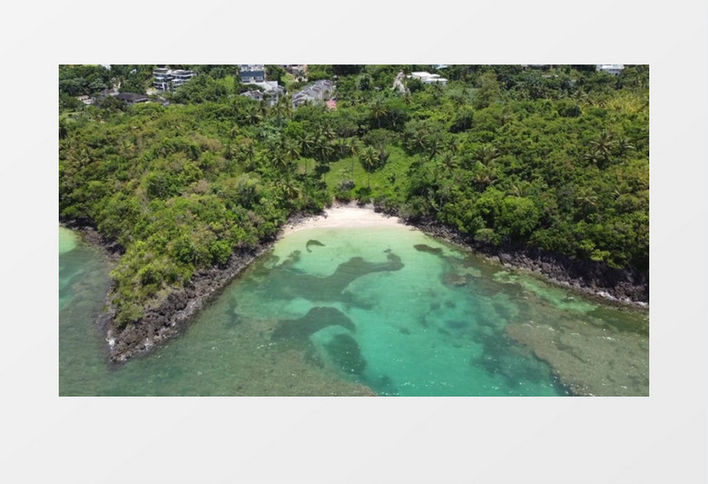 碧绿的海水和岸边的绿植景象实拍视频素材
