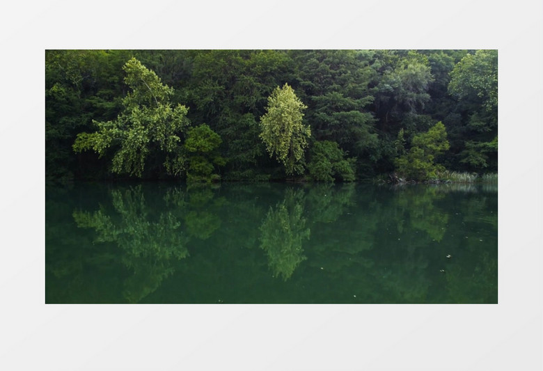 平静的水面上倒映出的绿植实拍视频素材