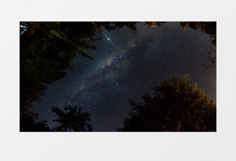 仰拍山林里浩瀚的星空实拍视频素材