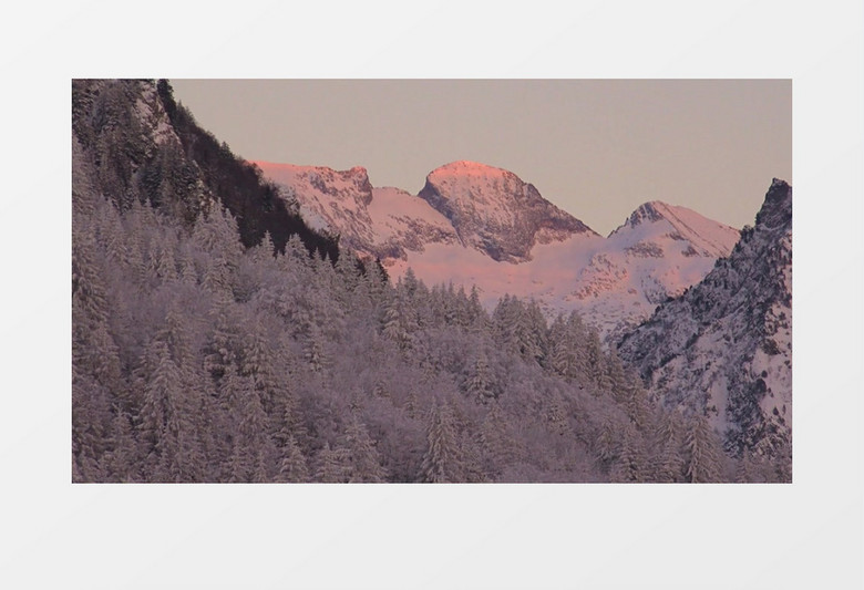 航拍雪林和雪山景象实拍视频素材