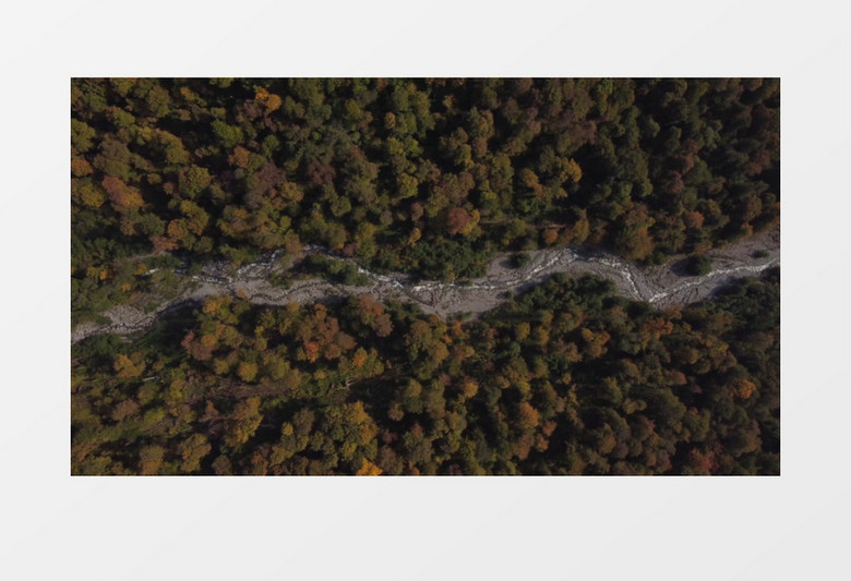 航拍茂盛的森林和森林中间的溪水实拍视频素材