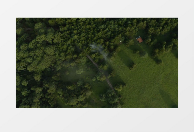 航拍茂盛的树林和绿绿的草地实拍视频素材