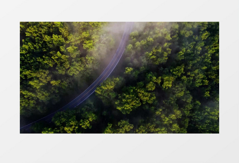 航拍在丛林中蜿蜒的道路实拍视频素材
