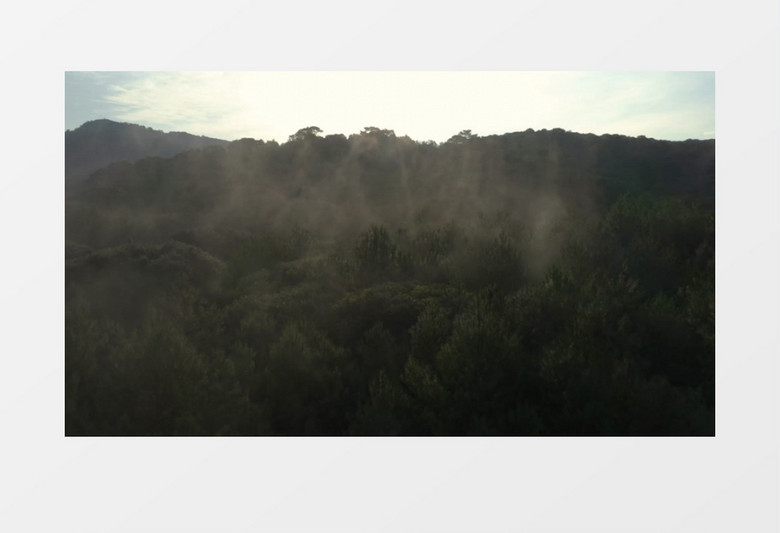 茂盛的山林上方氤氲着雾气实拍视频素材