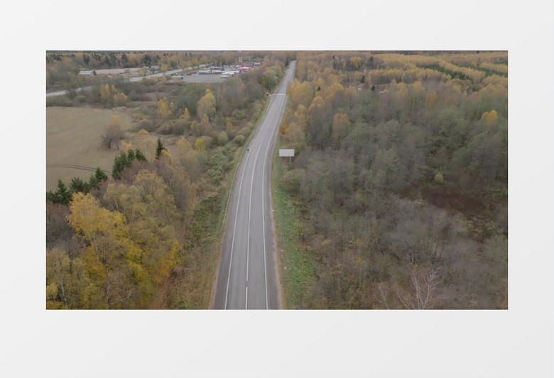 秋季道路两旁的树木景象实拍视频素材