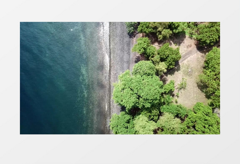 湛蓝的海水和岸边的绿植实拍视频素材