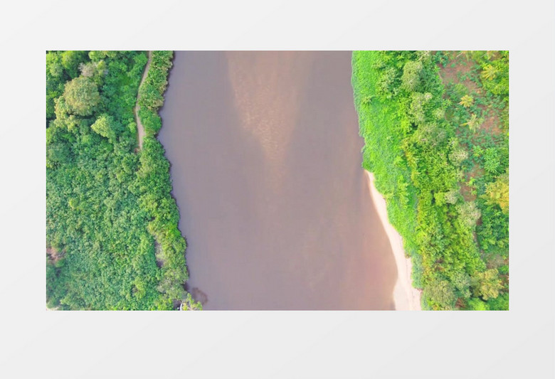 航拍大河两岸的树木景象实拍视频素材