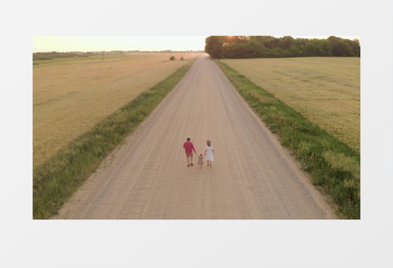 爸爸妈妈牵着宝宝在郊外的道路上行走实拍视频素材实拍视频素材