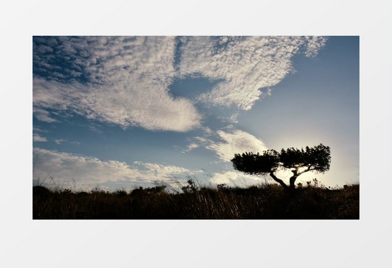 延时拍摄蓝天下的云朵和植被变化实拍视频素材