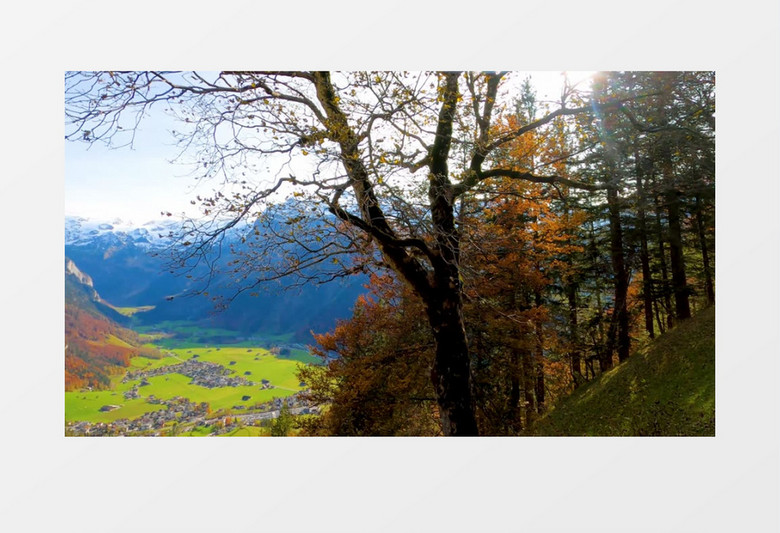 航拍山脚到山顶的植被变化实拍视频素材