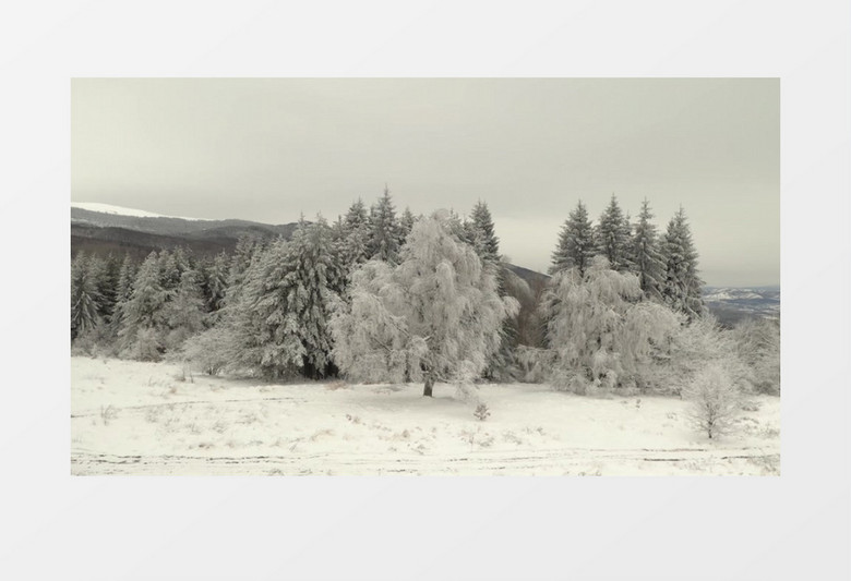 冬季被冰雪覆盖的树木和山川景象实拍视频素材