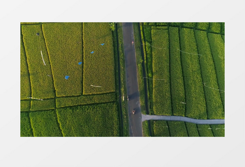 航拍道路两旁的田地实拍视频素材