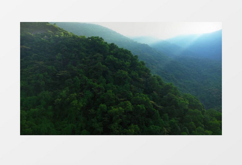 航拍广袤的森林实拍视频素材