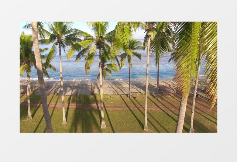 航拍沙滩上的椰树及翻腾的海浪实拍视频素材