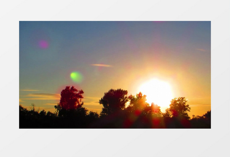 落日余晖下一群小虫子在飞舞实拍视频素材