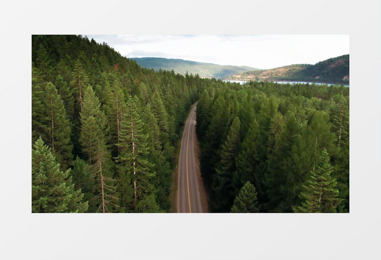 航拍森林中的公路及两侧的植被实拍视频素材