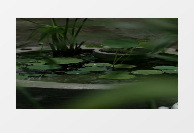 小雨淅淅沥沥在鱼缸中泛起涟漪实拍视频素材