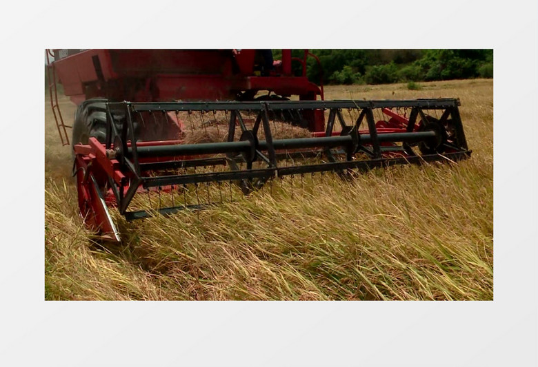 大型机器在田地中收割粮食实拍视频素材