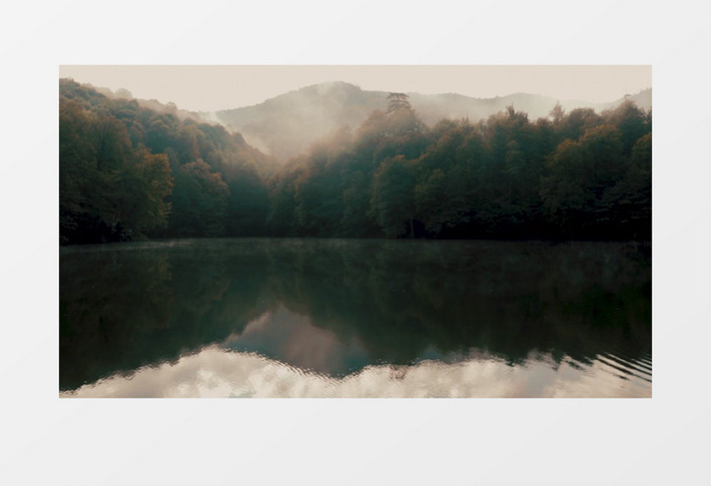 被湖面倒影的山和森林实拍视频素材