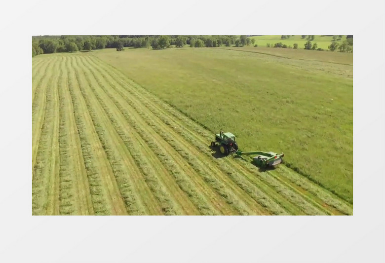 拖拉机除草实拍视频