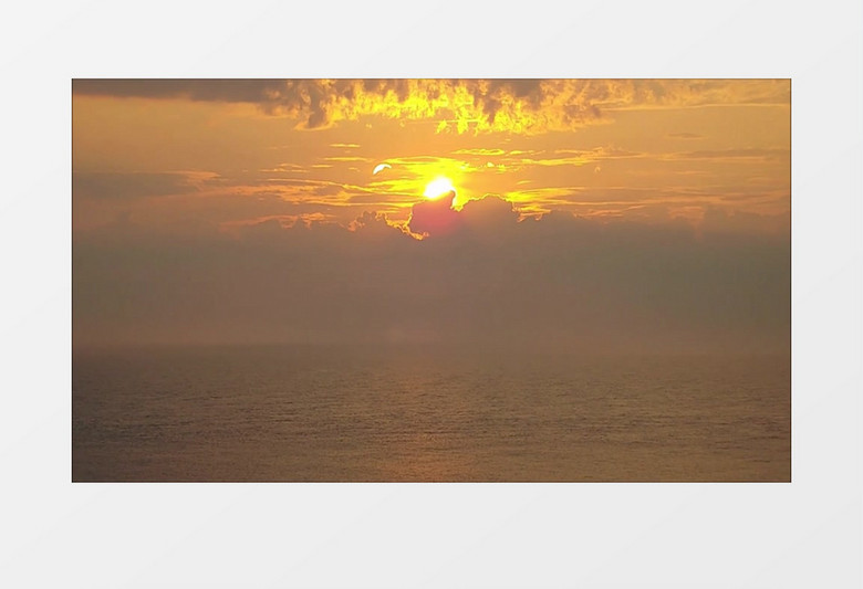 落日海鸥在海面上飞翔实拍视频