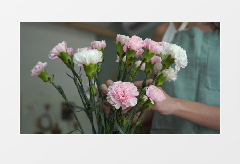 美女整理康乃馨实拍视频