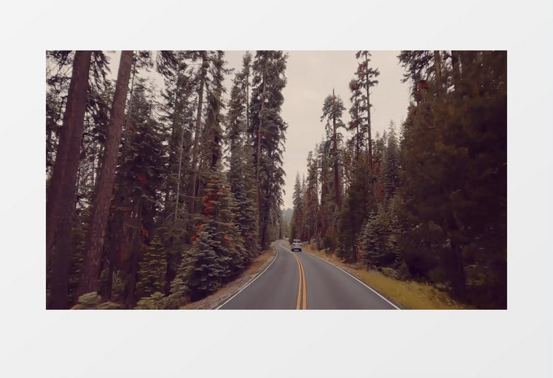 郊区开车实拍视频