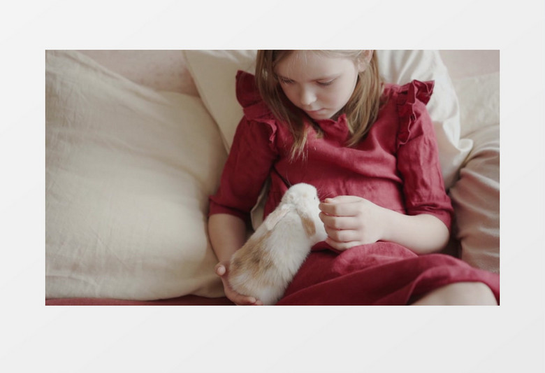 小女孩在撸兔子实拍视频