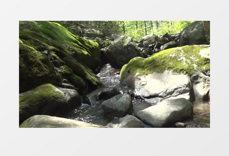 高清近距离拍摄日光下中山涧流水清新自然景观实拍视频素材