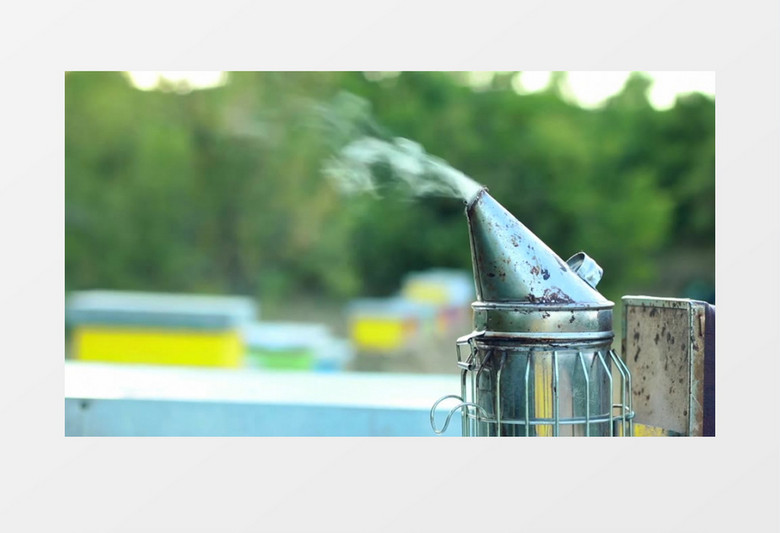 养蜂业养蜂喷烟器喷烟实拍视频素材