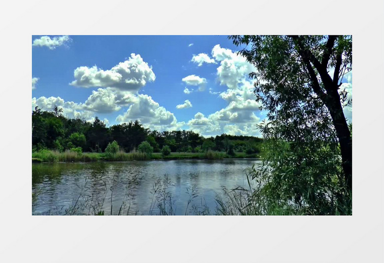自然景观夏日湖泊河流水中倒影实拍视频素材
