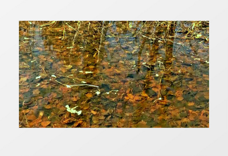 近距离拍摄春天石头落入河流溅起水花实拍视频素材