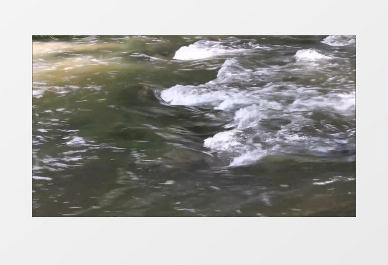 美丽的河流河域水运行实拍视频