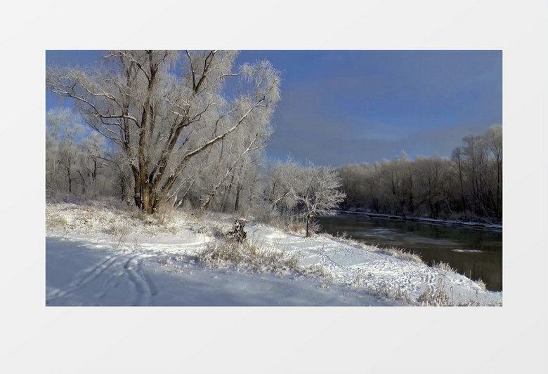 冬季森林雪景树木河流道路实拍视频素材