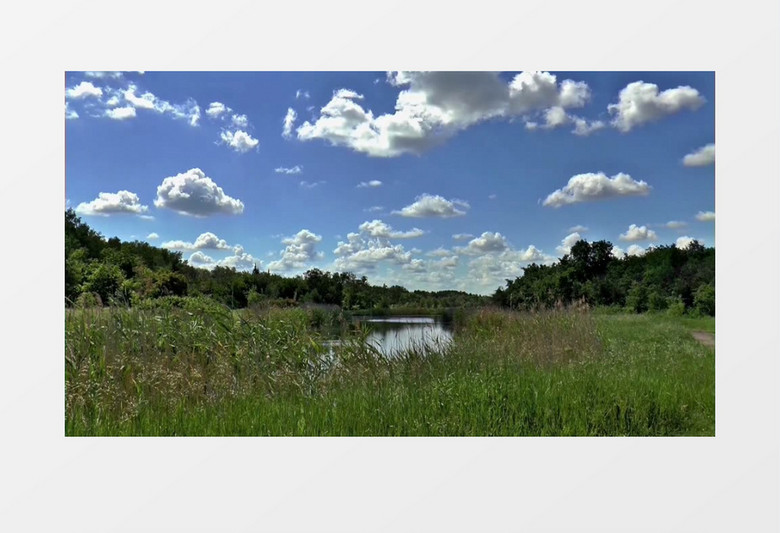 高清拍摄户外蓝天白云湖边芦苇岸边实拍视频素材