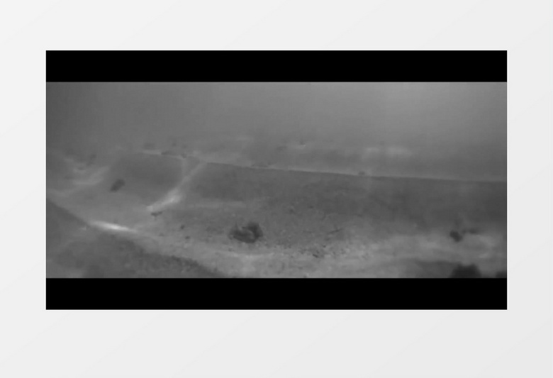 高清实拍帅气男子在海边潜水探索海底世界实拍视频素材