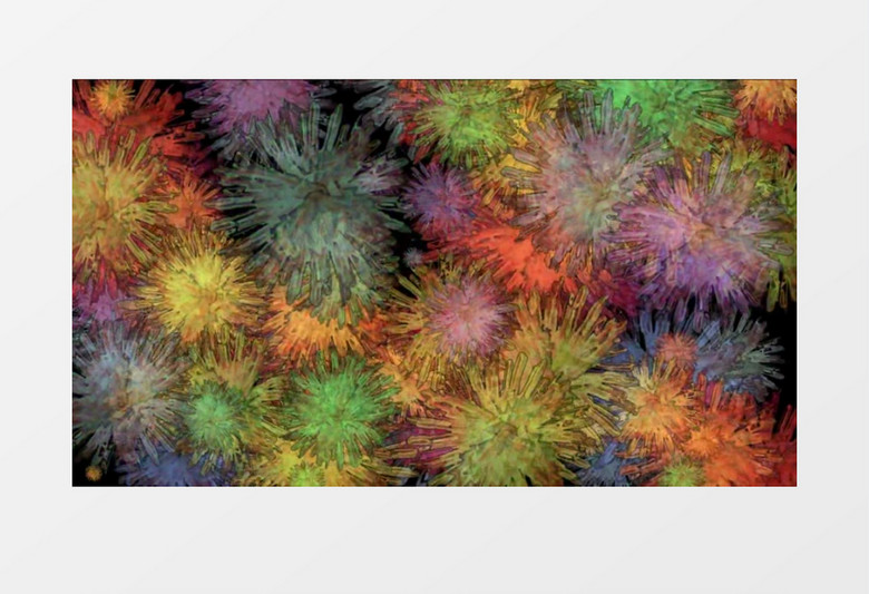 五彩斑斓的树叶屏保视频素材