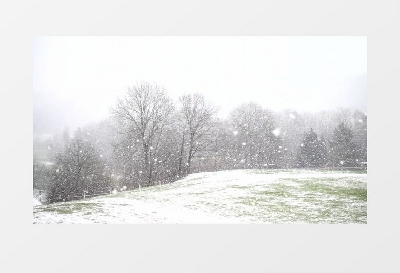 森林冬天下雪实拍视频素材