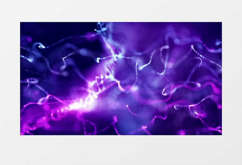 紫罗兰色丁香以闪电模式展开视频素材