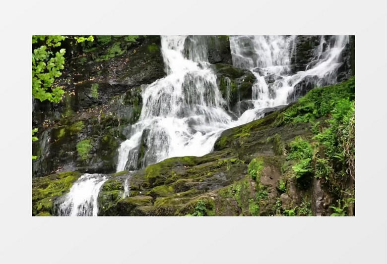 高清拍摄国家公园森林瀑布绿色植被实拍视频素材