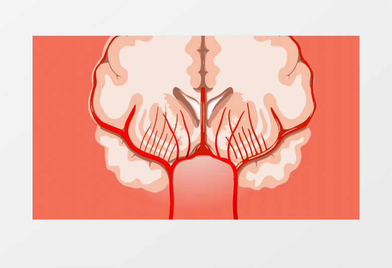 动画演示模拟医学素材人体大脑工作视频素材